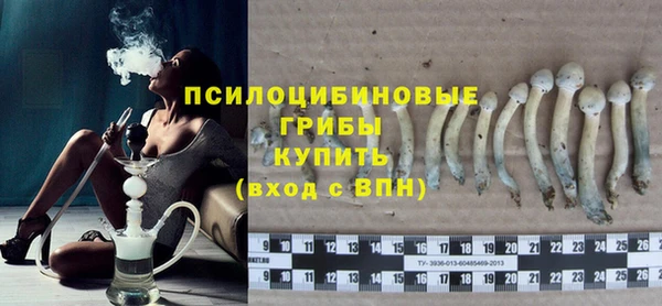 МДПВ Семёнов