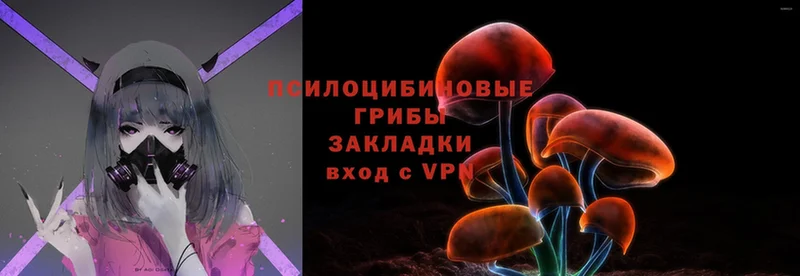 ссылка на мегу сайт  Гаврилов Посад  Псилоцибиновые грибы Cubensis 