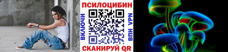 Псилоцибиновые грибы Cubensis  сколько стоит  Гаврилов Посад 